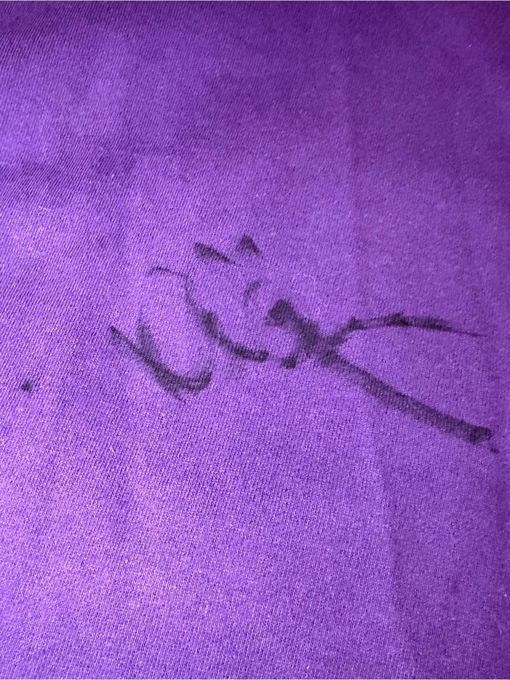 Promodoro Rammstein Purple Graphic Hoodie Signed by Till Lindemann Size Medium - Picture 6 of 6